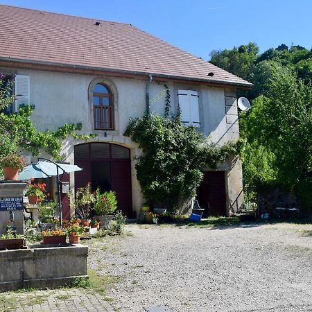 Spacious Apartment In Old Farm Close To Lac De Vouglans La Tour-du-Meix Esterno foto